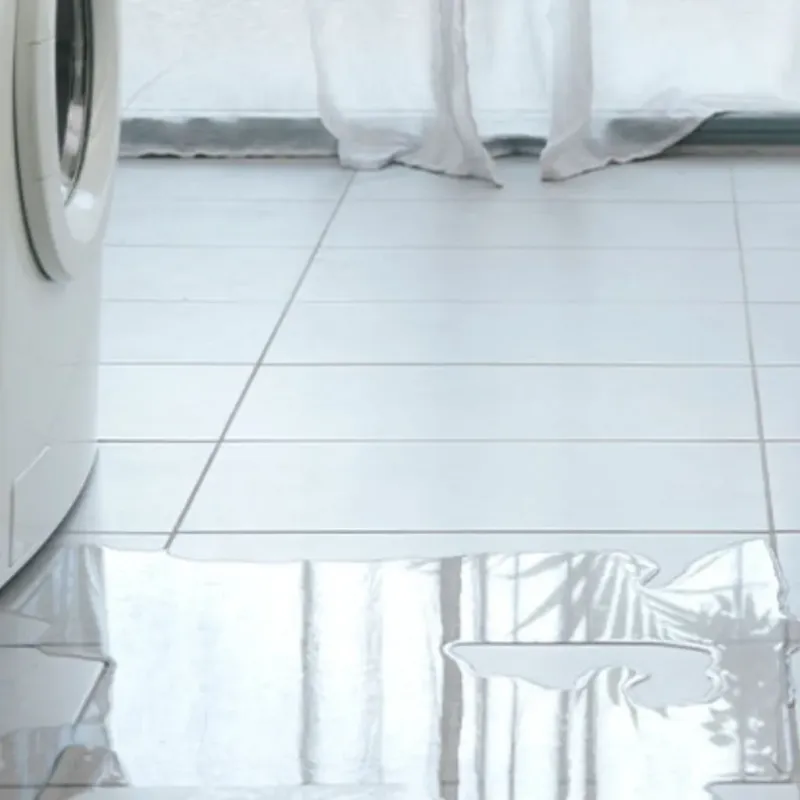 Appliance Leak Cleanup in Auburn, WA